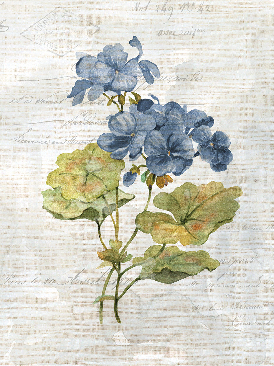 Blue Linen Geranium by Carol Robinson - larger sizes handcrafted wall art work on large canvas & framed canvas prints