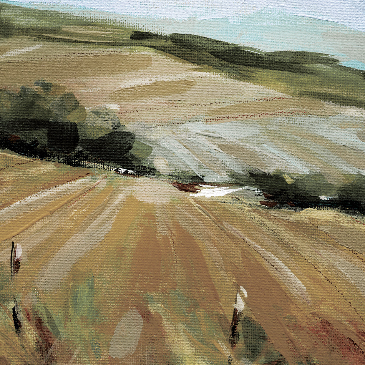 Summer Pasture by Carol Robinson - highest quality handcrafted wall art work on large canvas & framed canvas prints