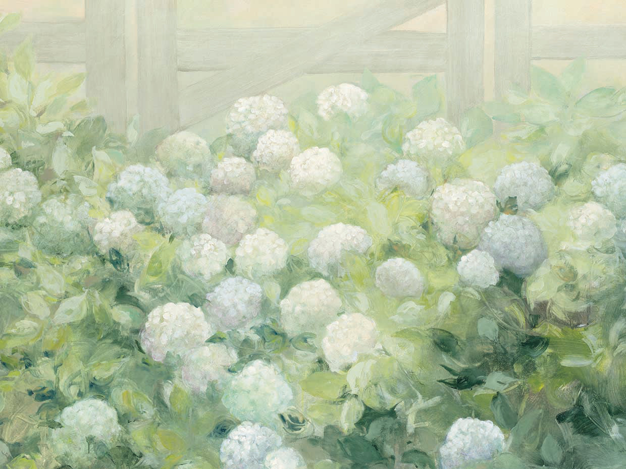 Hydrangea Lane Crop
