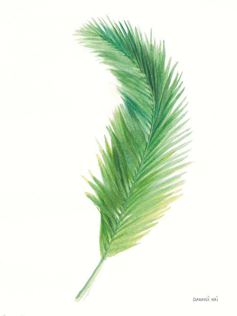 Palms of the Tropics IV by Danhui Nai - handcrafted wall art work on large canvas & framed canvas prints, made to order