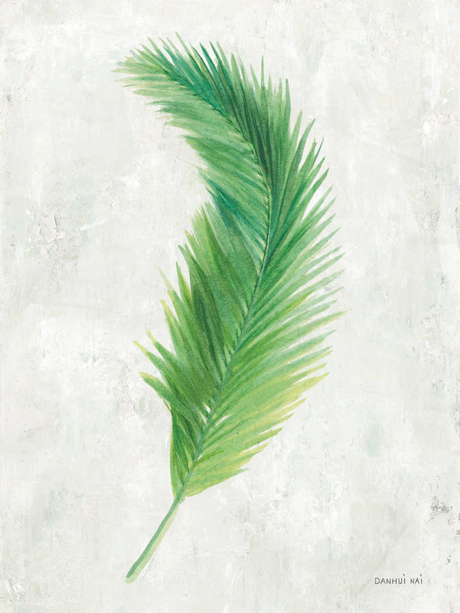 Palms of the Tropics VI by Danhui Nai - top quality wall art work on large canvas & framed canvas prints