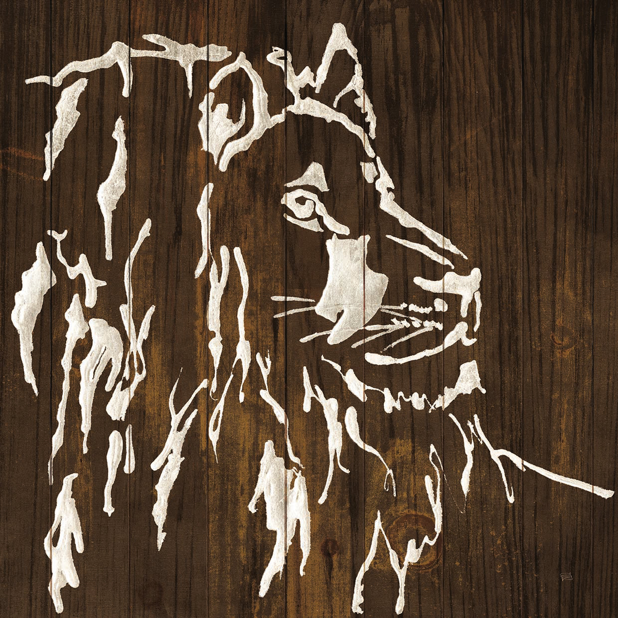 White Lion on Dark Wood