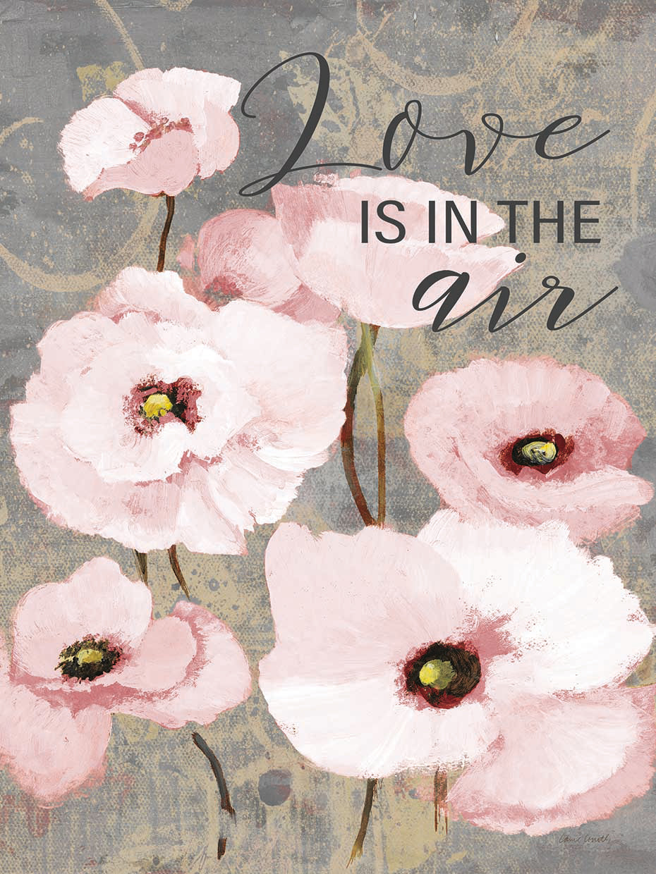 Kindle's Blush Poppies I