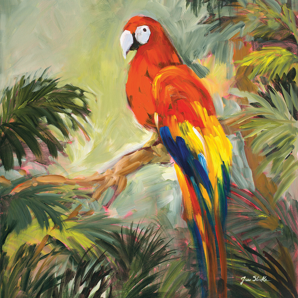 Parrots at Bay I