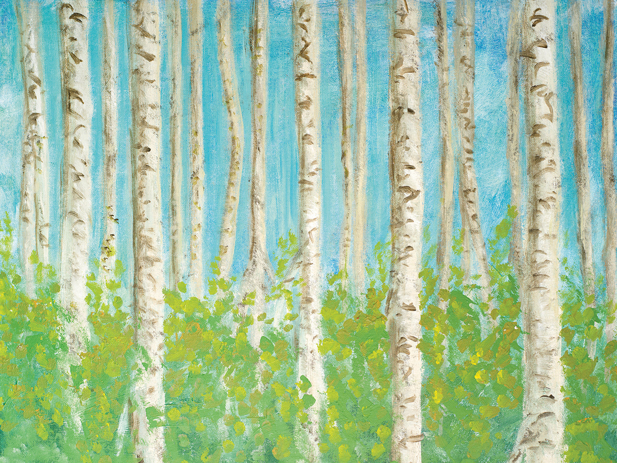 Vibrant Birchwood