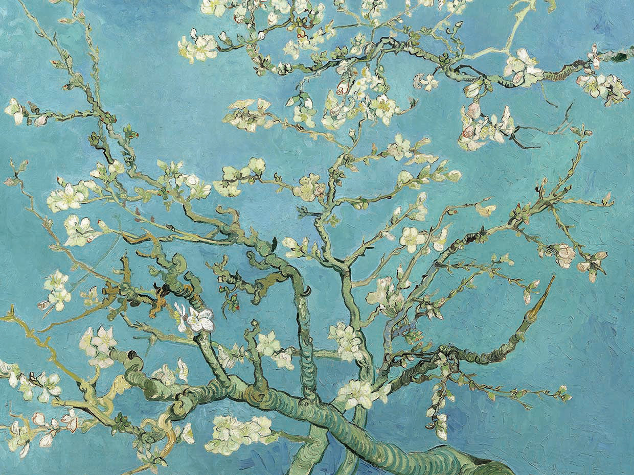 Almond Blossoms, 1890 by Vincent Van Gogh is regarded as one of Van Gogh's most famous and renowned floral paintings