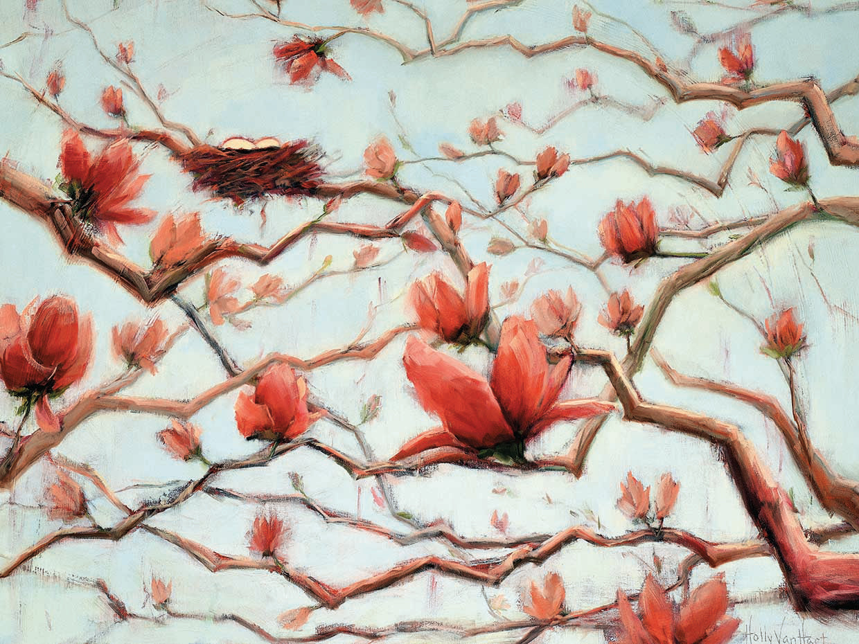 Possibilities in Full Bloom