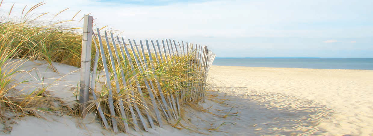 Sandy Neck (panorama)