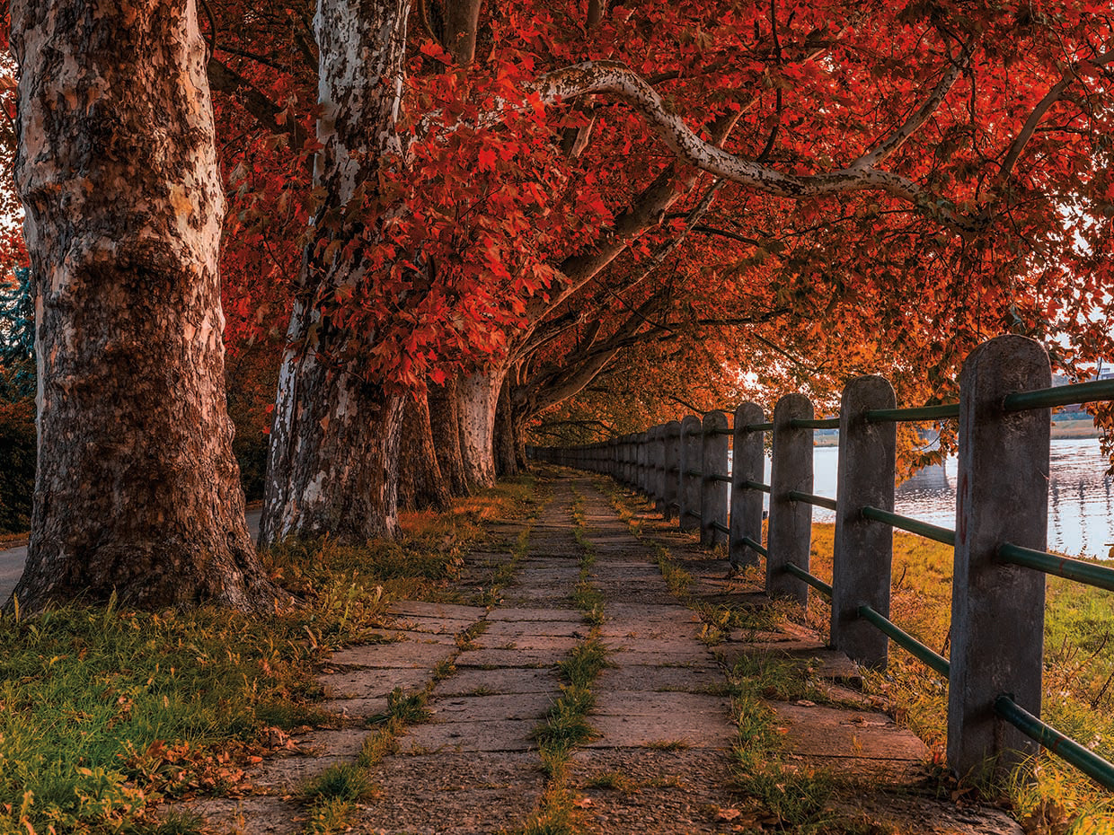 Walk by the River by Vladimir Kostka/Radiant Scenes is a colorful fall landscape photo printed on canvas or framed canvas