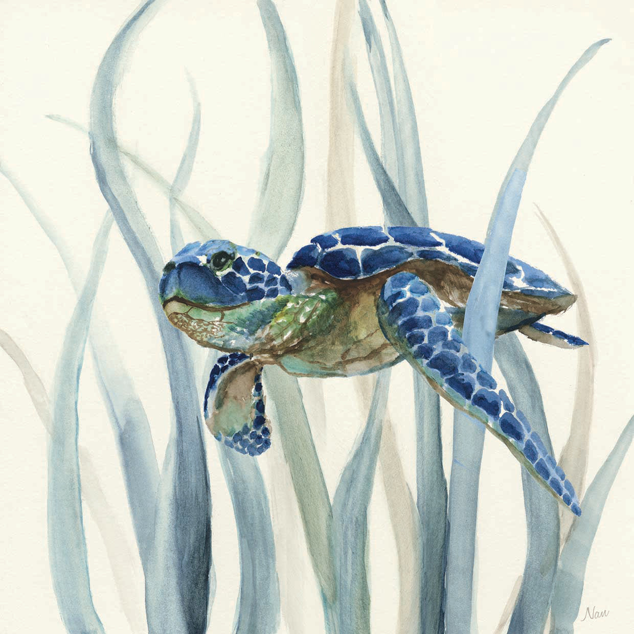 Turtle in Seagrass II by Nan - top quality wall art work on large canvas & framed canvas prints