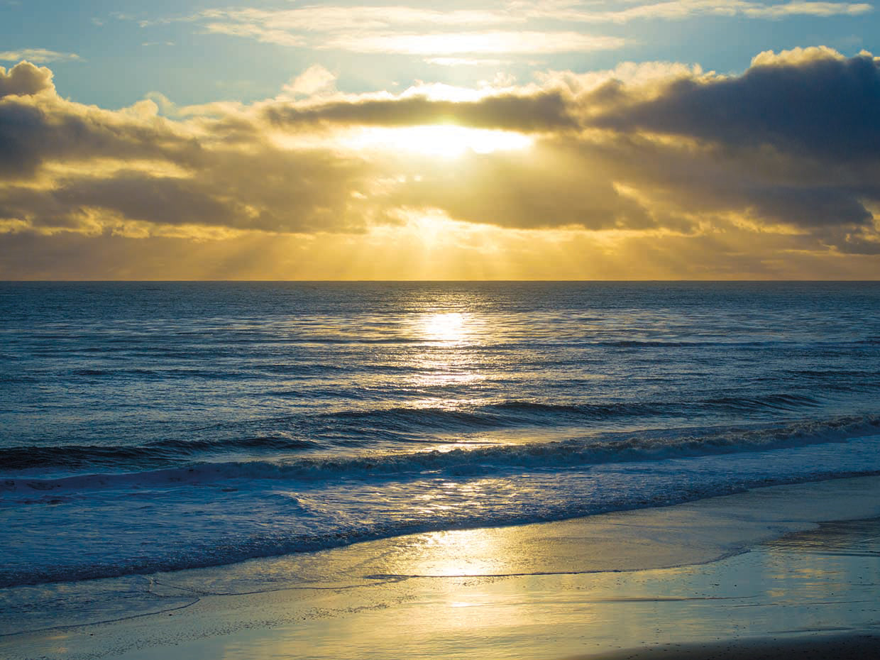 Beach Sunset Surfers