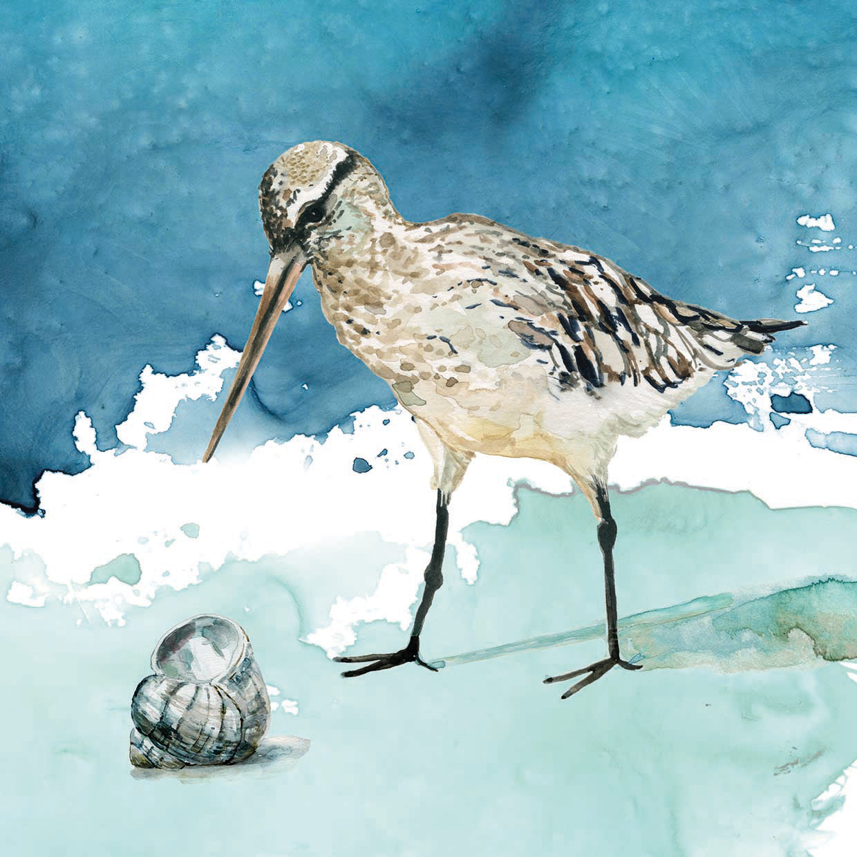 Delray Sandpiper II by Carol Robinson - highest quality handcrafted wall art work on large canvas & framed canvas prints
