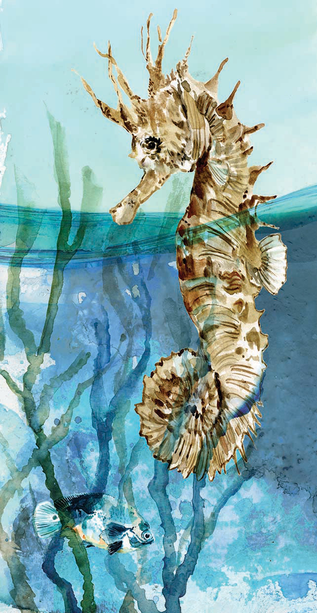 Delray Seahorse II by Carol Robinson - handcrafted wall art work on large canvas & framed canvas prints, made to order