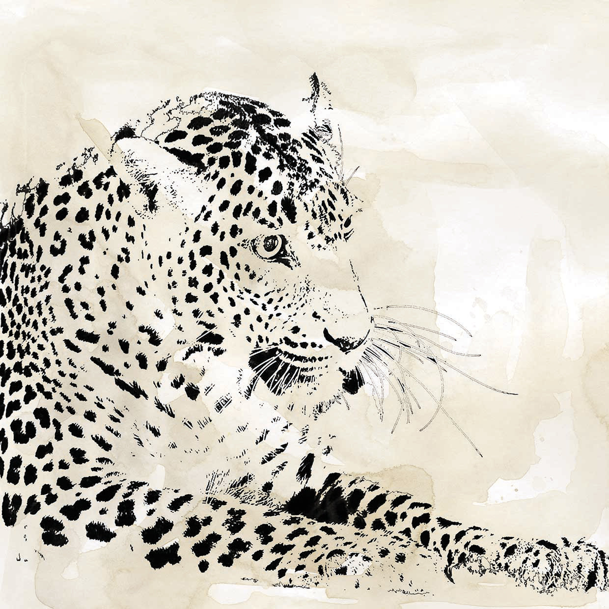 Leopard Spot I by Carol Robinson - museum quality wall art work on large canvas & framed canvas prints