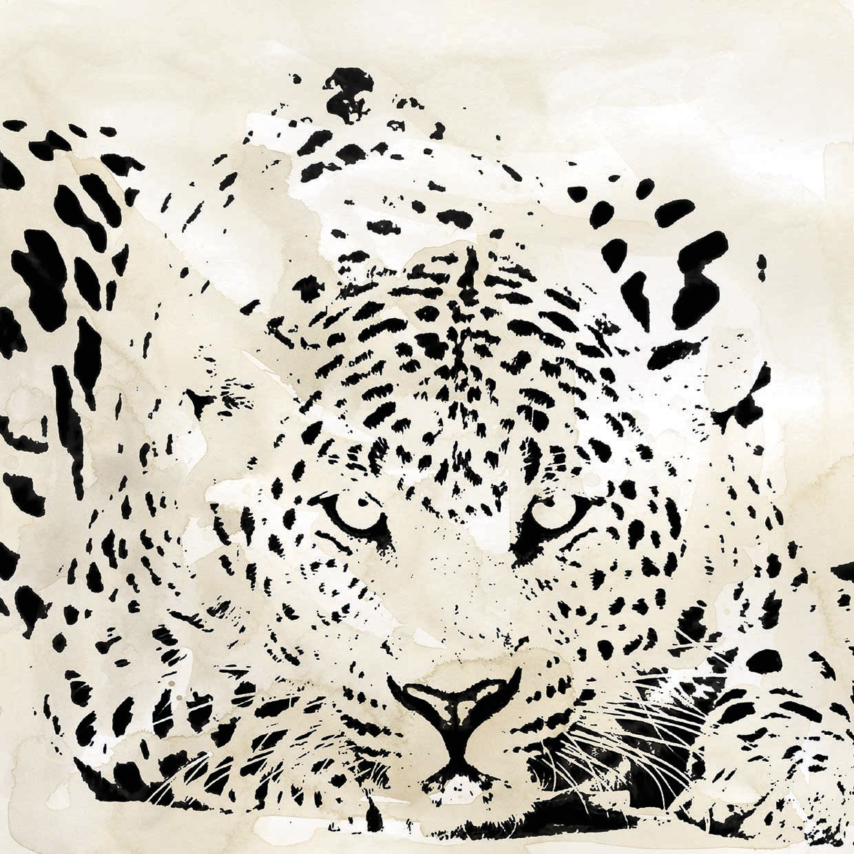 Leopard Spot III by Carol Robinson - lowest price wall art work on large canvas & framed canvas prints
