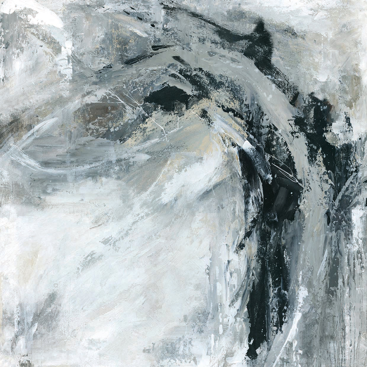 Wild Grace by Carol Robinson - museum quality wall art work on large canvas & framed canvas prints