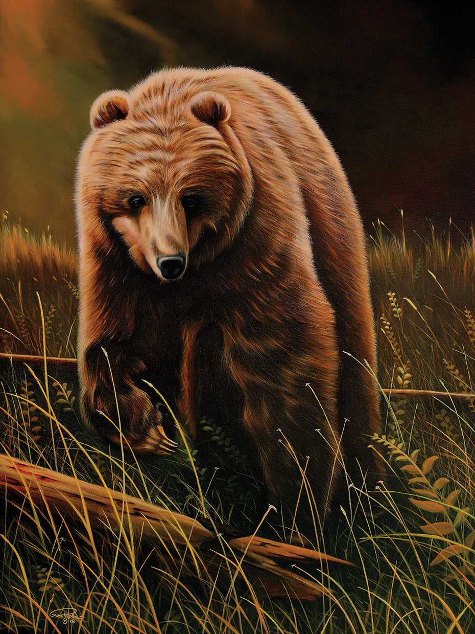Arte de la lona del oso pardo