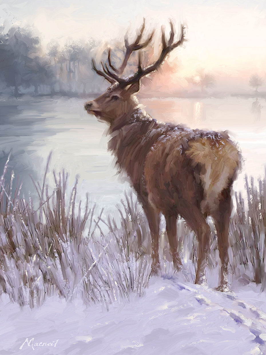 Winter Deer by The Macneil Studio - larger sizes handcrafted wall art work on large canvas & framed canvas prints