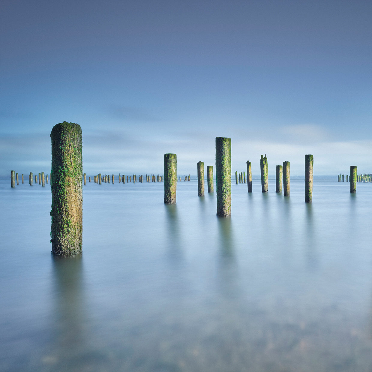 Army 2 by Moises Levy - best quality handcrafted wall art work on large canvas & framed canvas prints