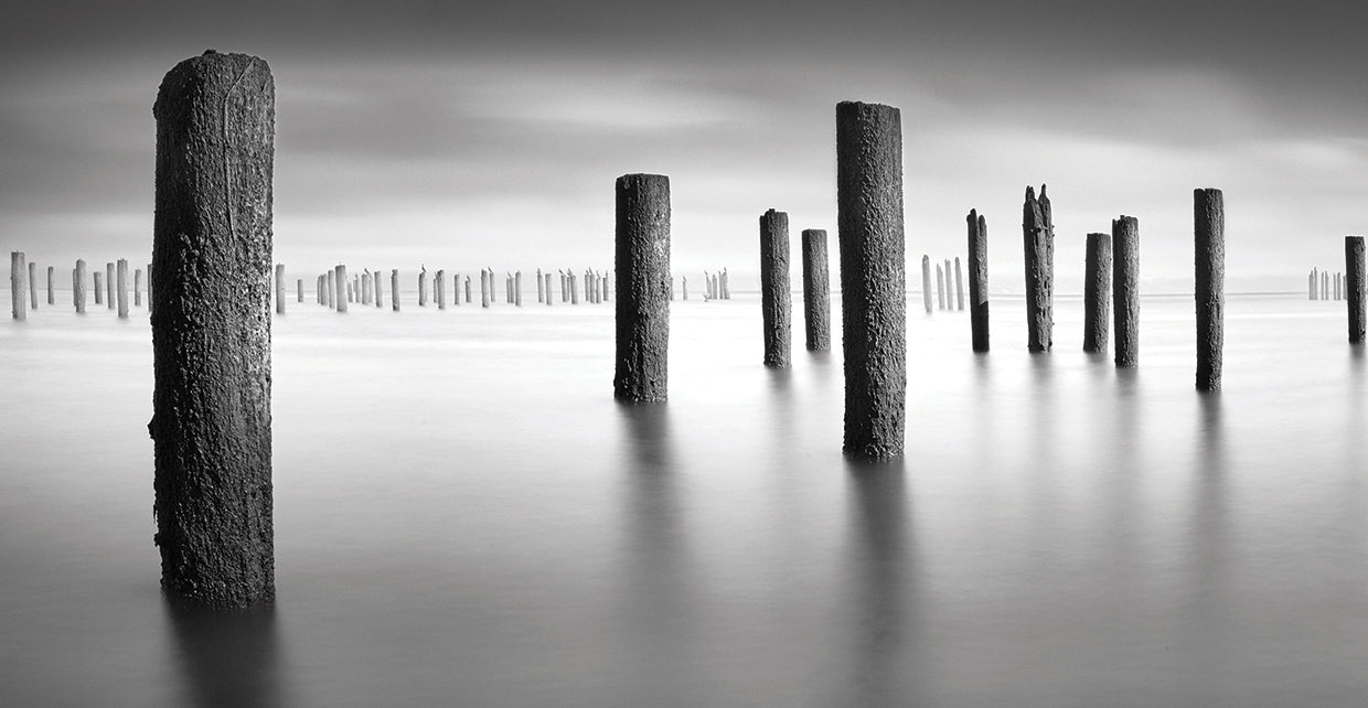 Army 2 Pano by Moises Levy - lowest price wall art work on large canvas & framed canvas prints