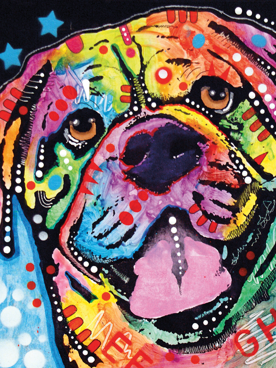 Bosco by Dean Russo - lowest price wall art work on large canvas & framed canvas prints