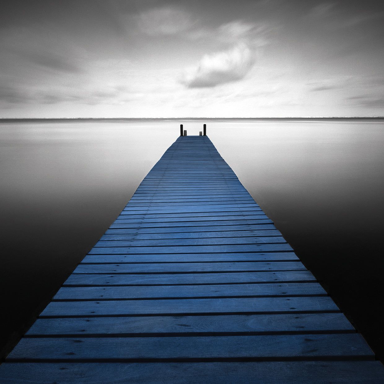 Bull - Pop by Moises Levy - top quality wall art work on large canvas & framed canvas prints