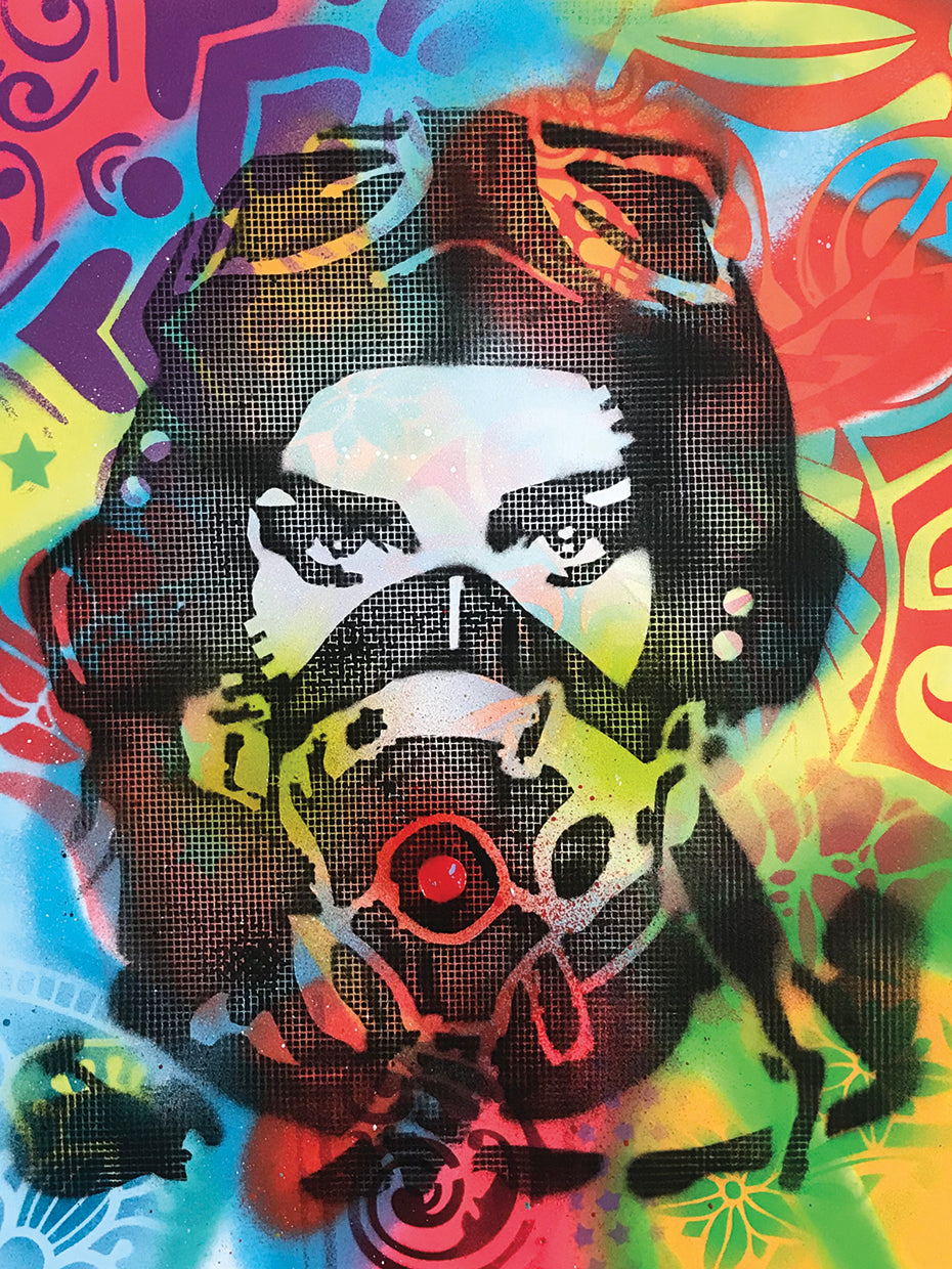 Flygirl by Dean Russo - best quality handcrafted wall art work on large canvas & framed canvas prints