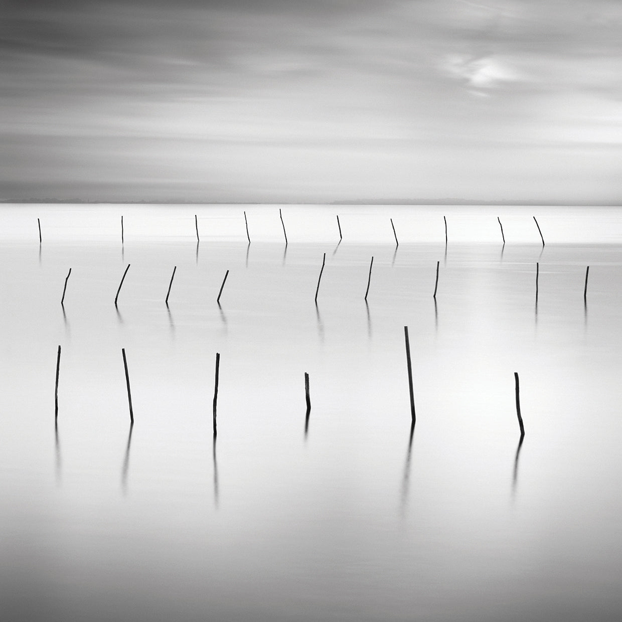 Lines 1 by Moises Levy - handcrafted wall art work on large canvas & framed canvas prints, made to order