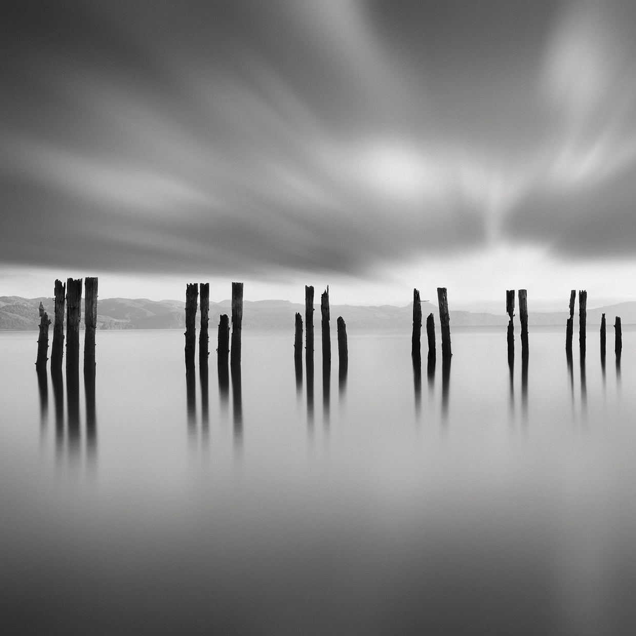 Rebelion 2-2 by Moises Levy - top quality wall art work on large canvas & framed canvas prints