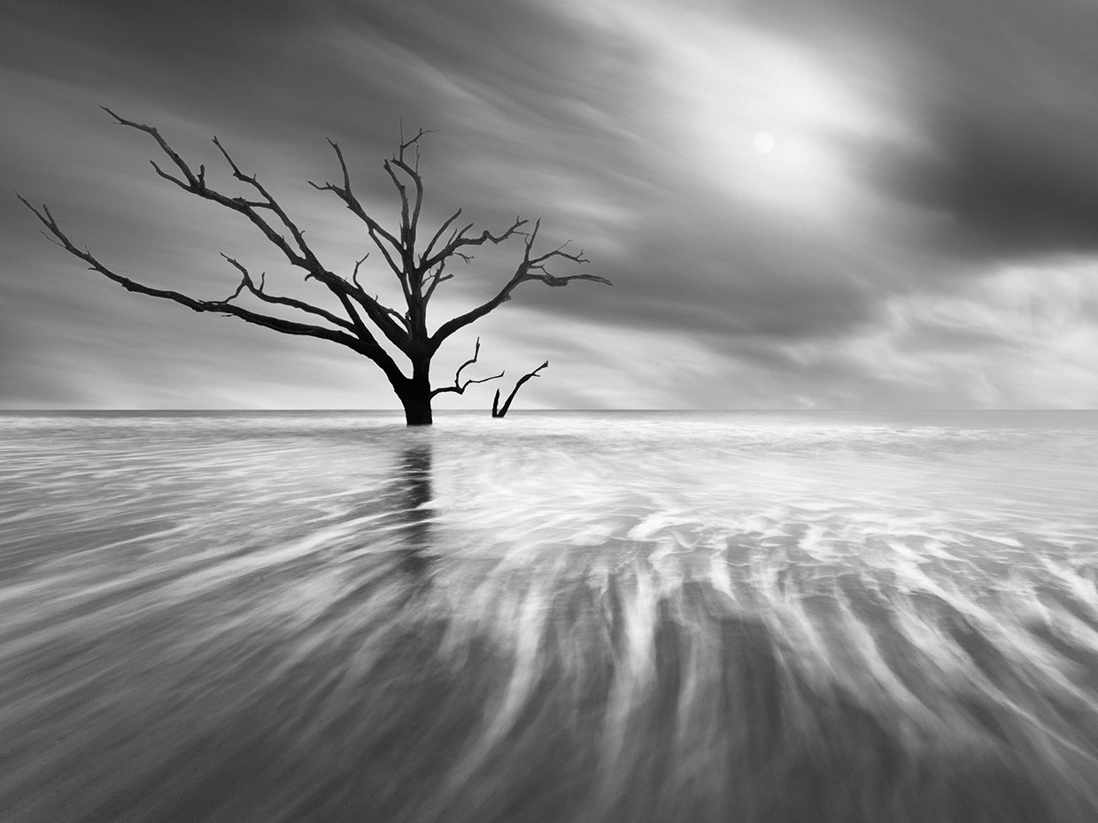 Searching For Life by Moises Levy - highest quality handcrafted wall art work on large canvas & framed canvas prints