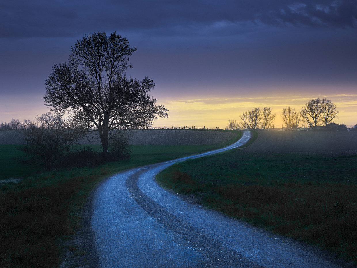 Sur Gironde 1_4 Flat by Moises Levy - lowest price wall art work on large canvas & framed canvas prints