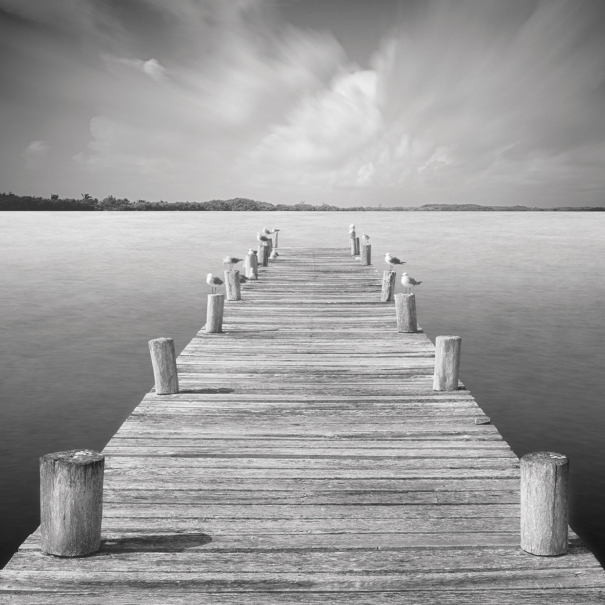 Tierra Desnuda by Moises Levy - best quality handcrafted wall art work on large canvas & framed canvas prints