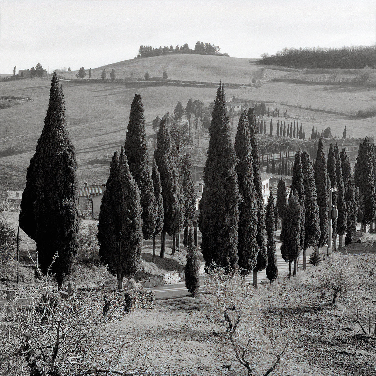 Tuscany IV