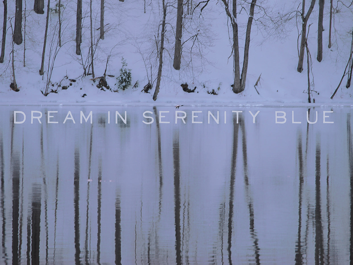 Dream in Serenity Blue