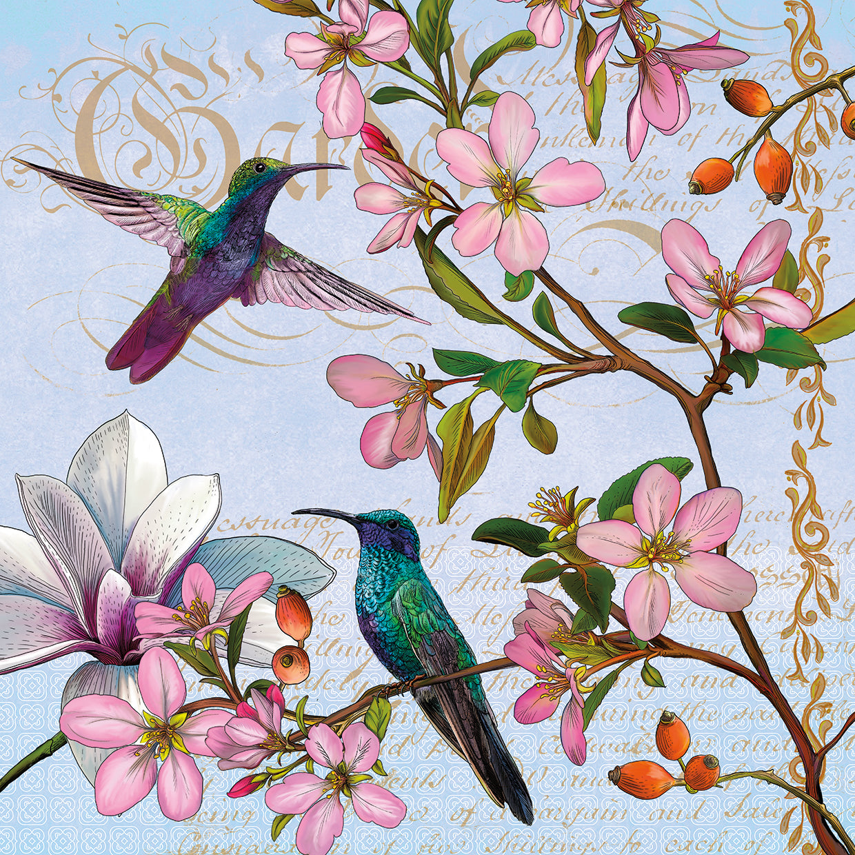 Hummingbird Botanical