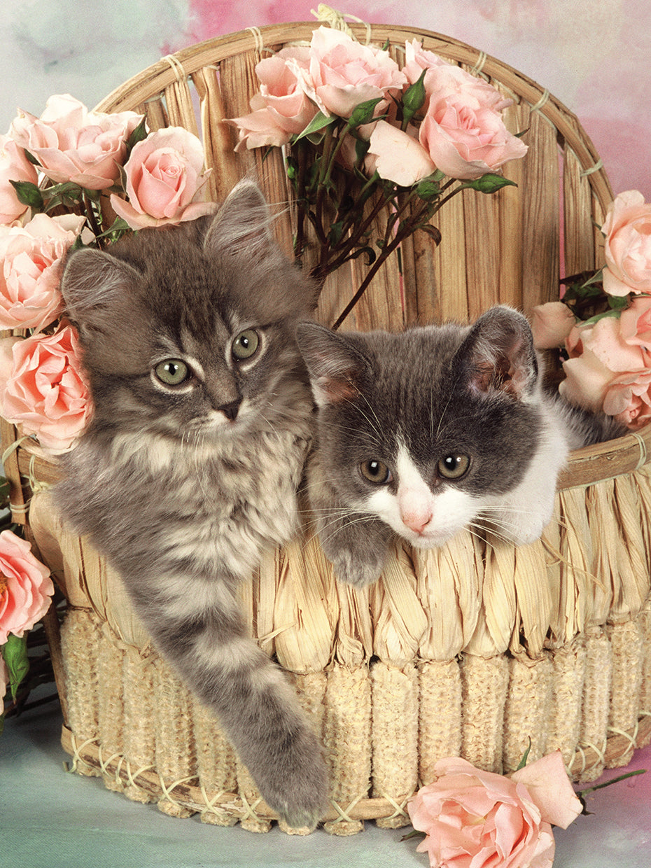 Basket with Cats and Flowers