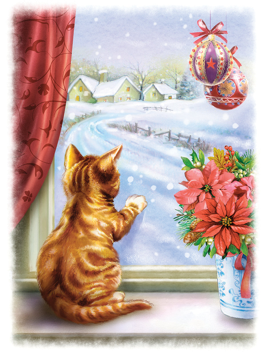 Looking trough the window