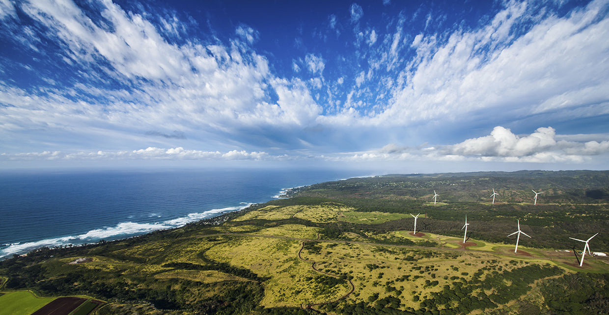 North Shore Windmills