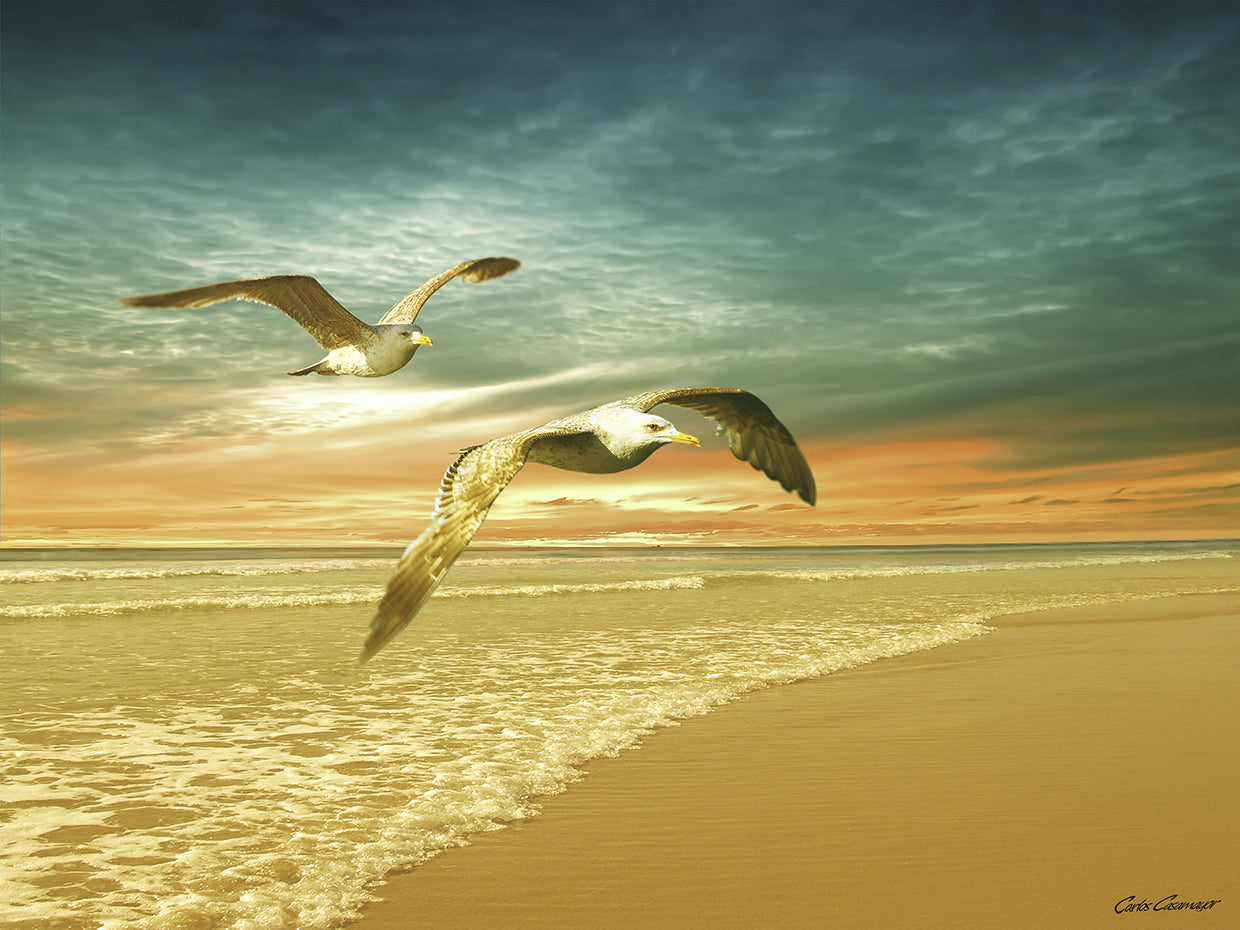 Soft Sunrise on the Beach 6