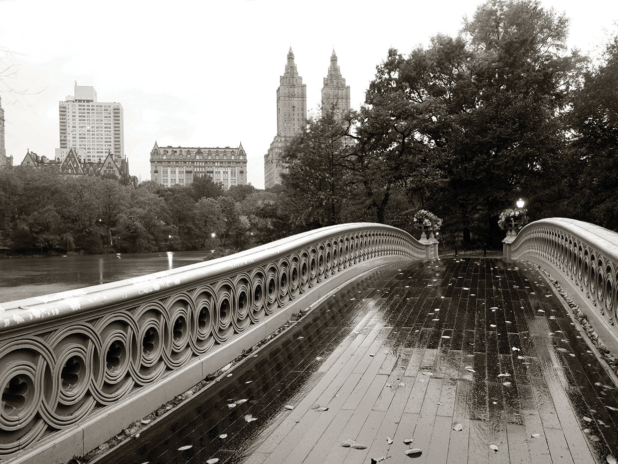 Bow Bridge 2010
