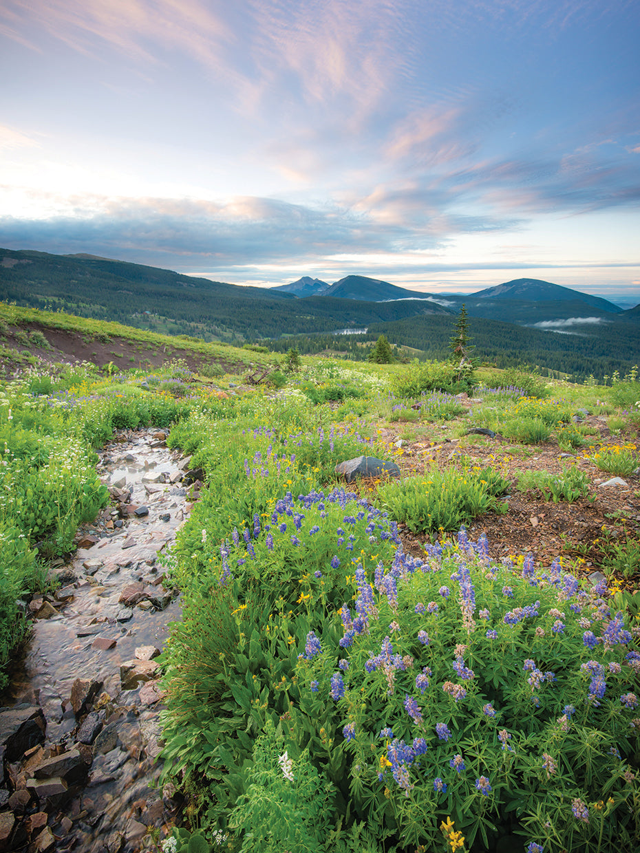 Crested Butte Stream