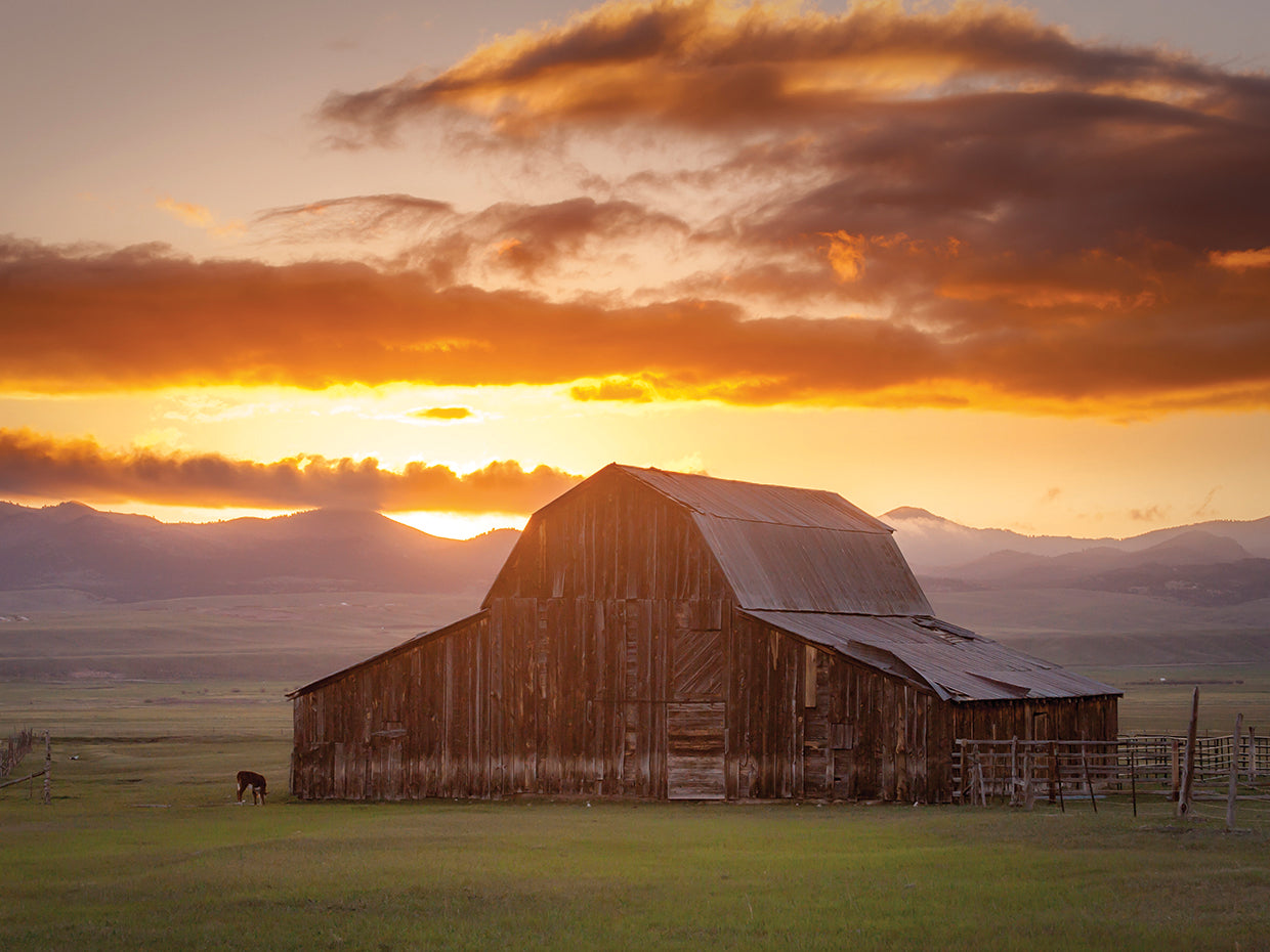 Wet Mountain Barn II