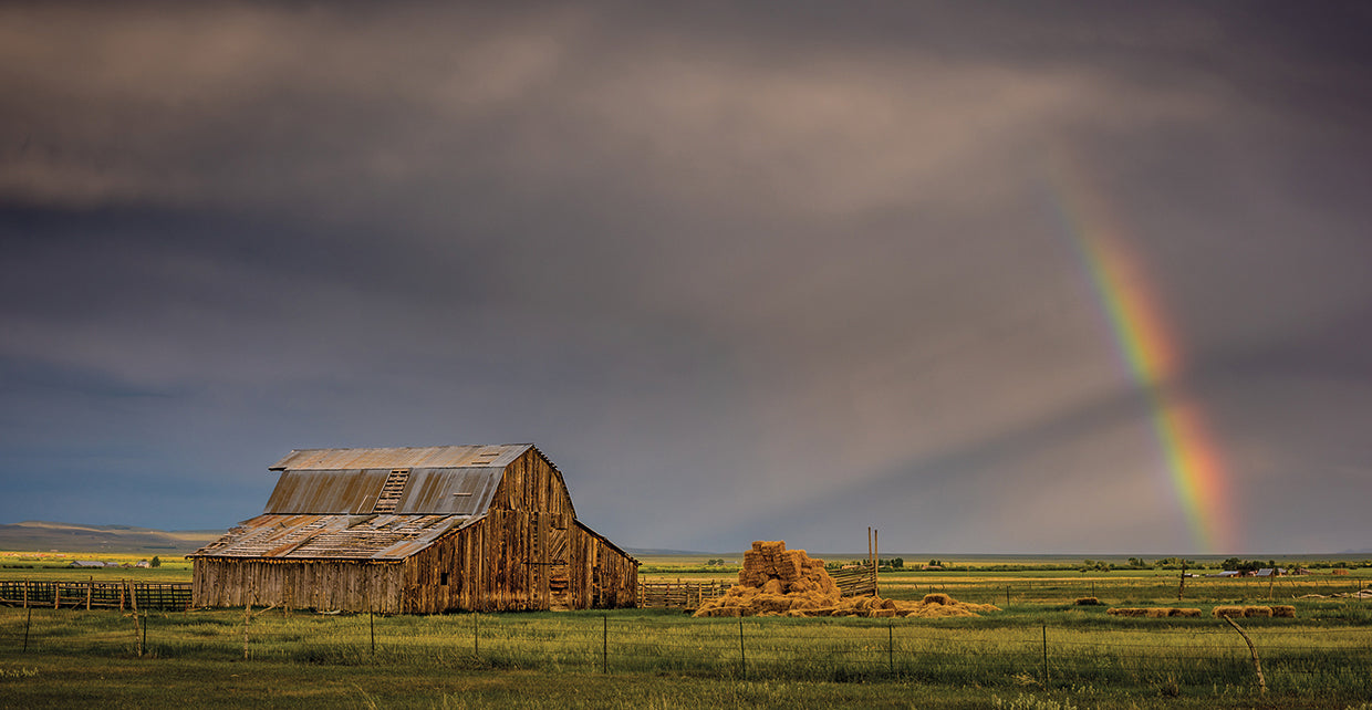 Rainbow Barn