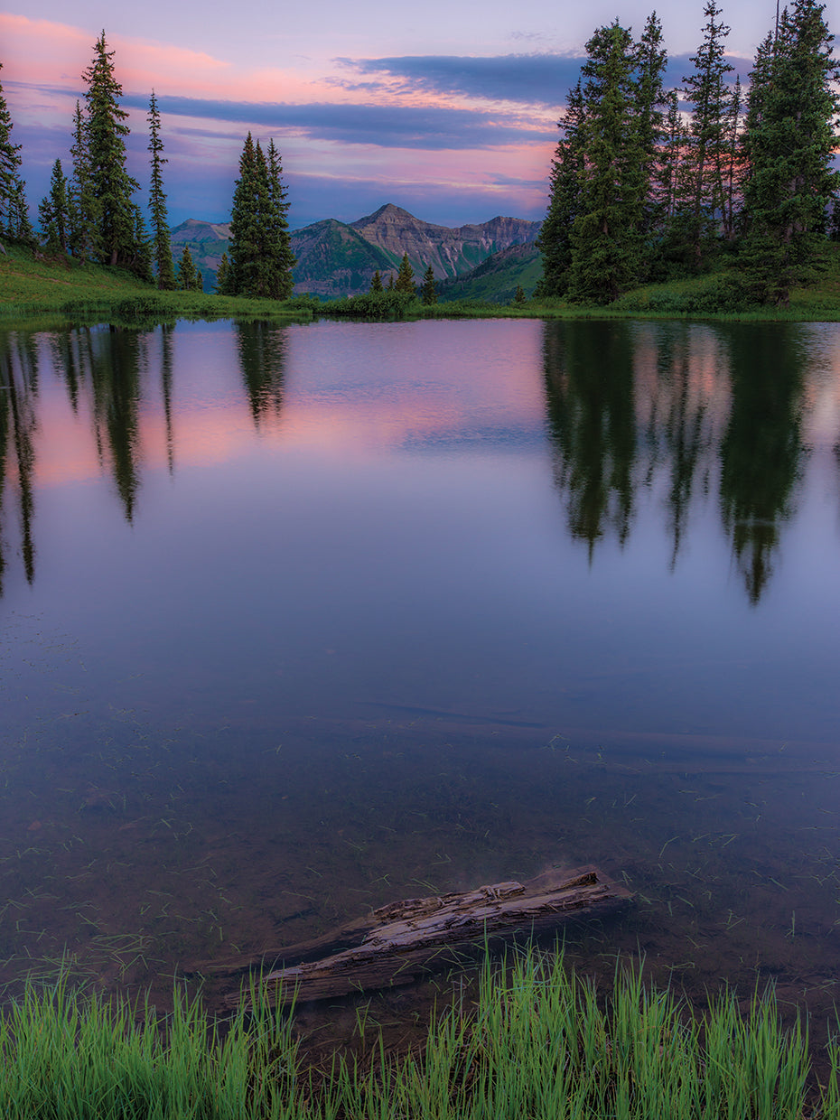 Evergreen Reflections