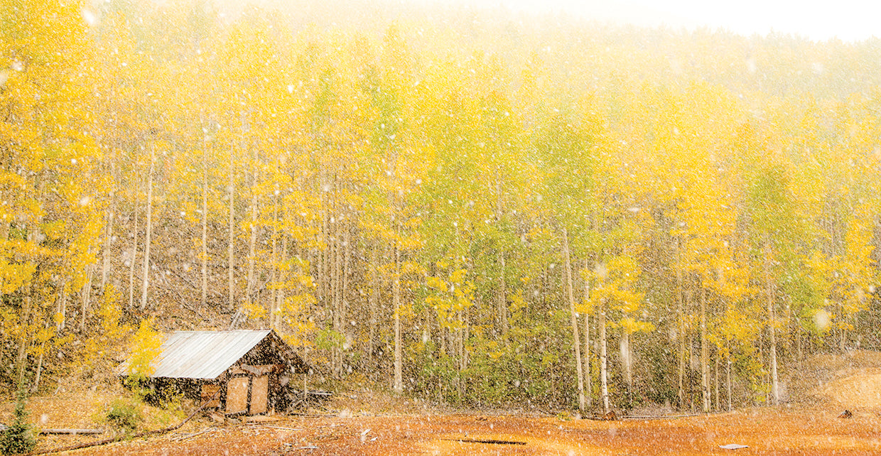 Autumn Cabin
