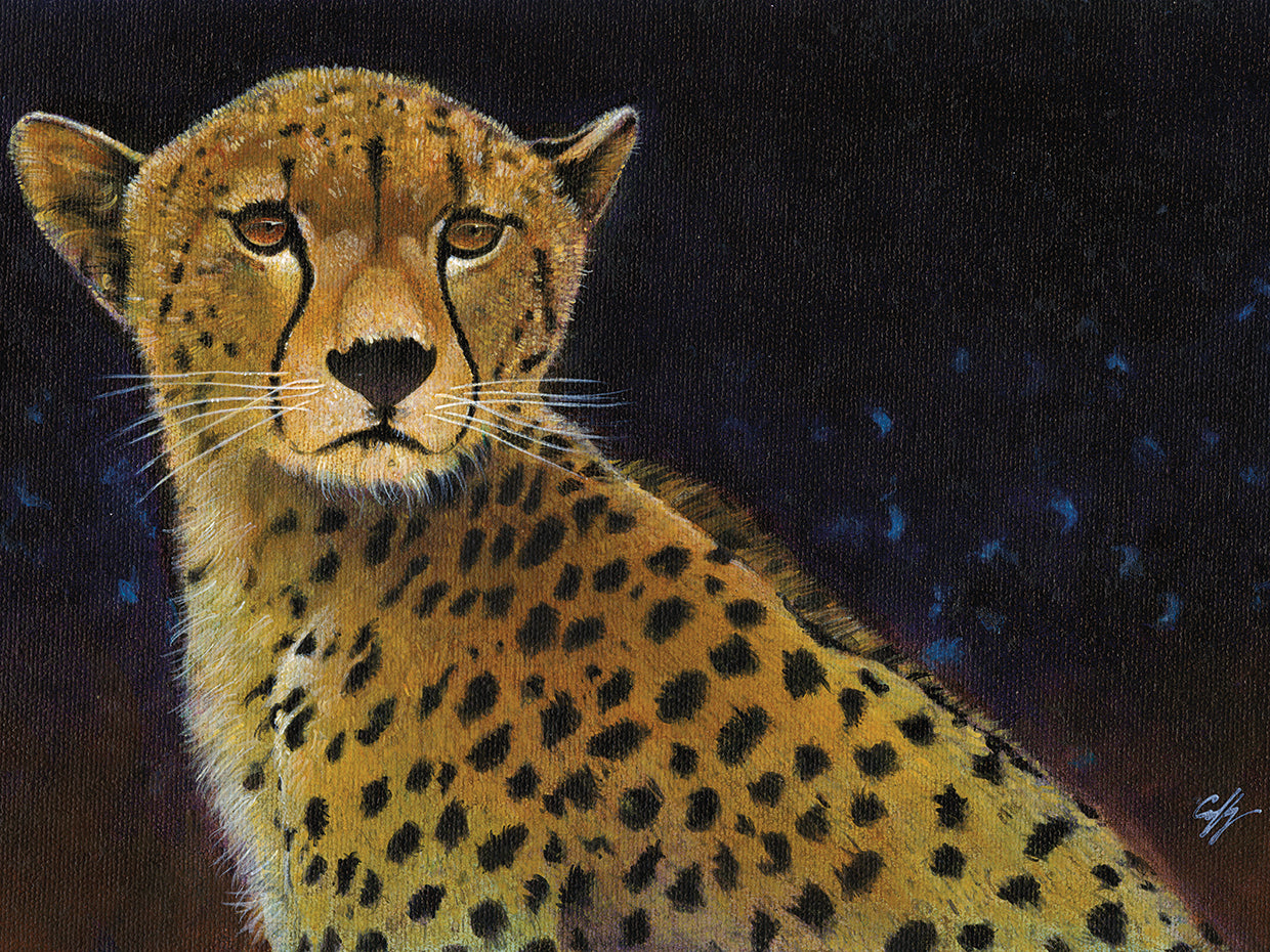 Cheetah