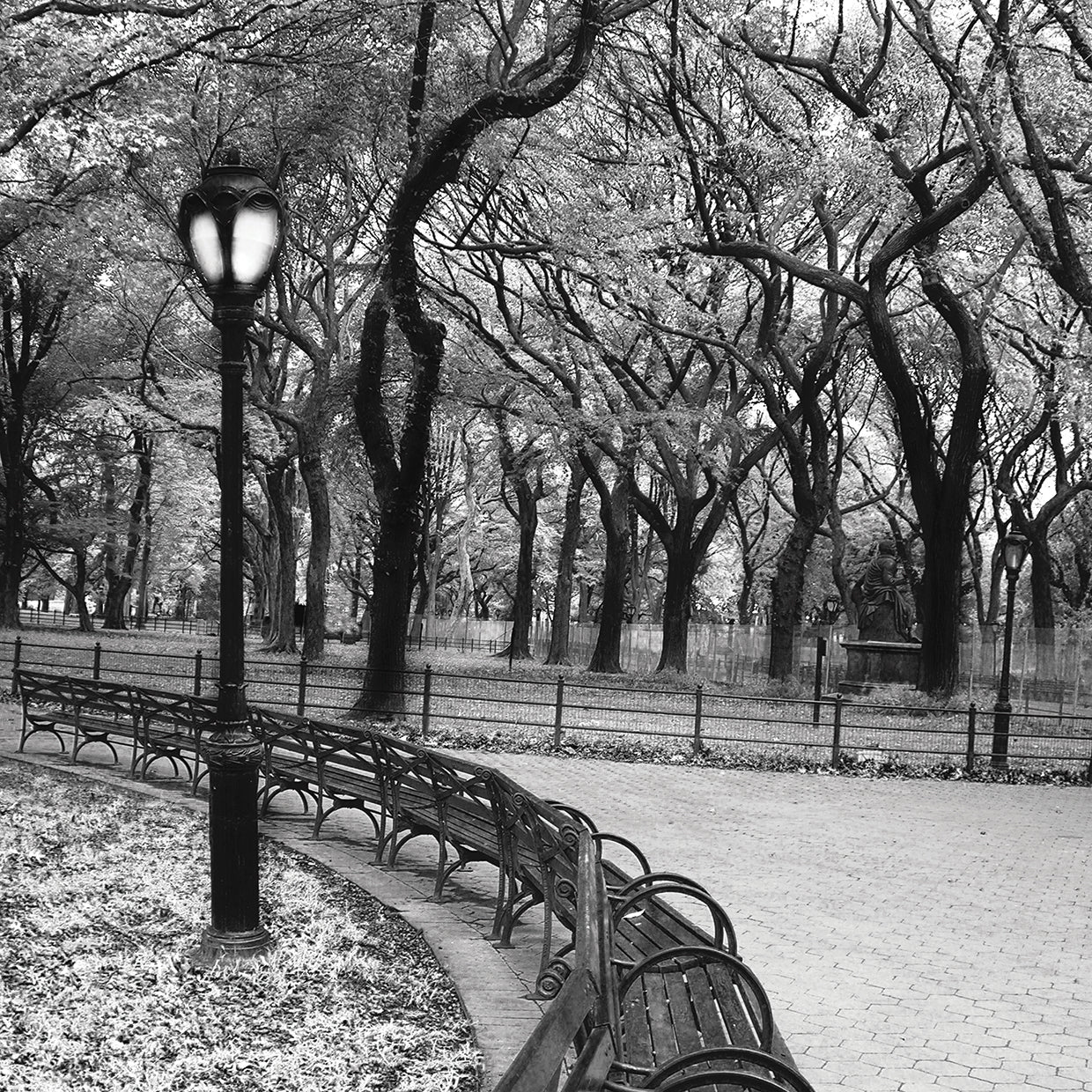 A Walk Through the Park