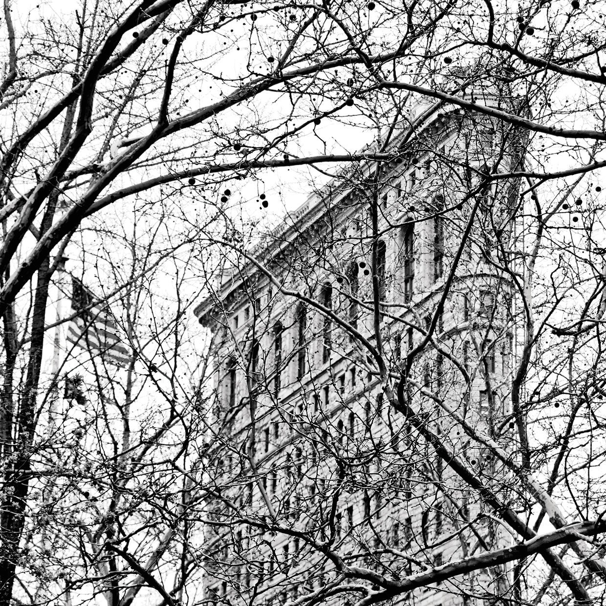 Veiled Flatiron Building (b/w)