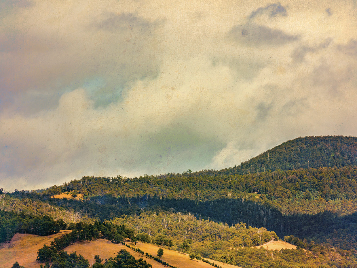 Vintage Countryside 01