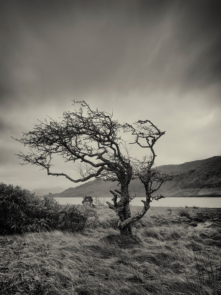 Successful Hills are Here to Stay